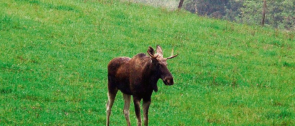 301518_0_1ec95c08.jpg