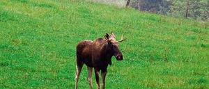 301518_0_1ec95c08.jpg