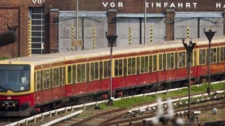 301048_3_Berliner_dpa_2.jpg