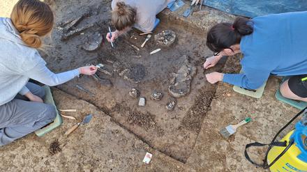 Bayern, Eichendorf: Ein 6800 Jahre altes Skelett ist in Exing in Niederbayern entdeckt worden.