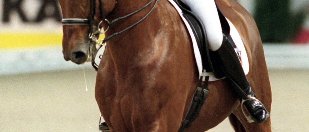 Dressur Nicole Uphoff