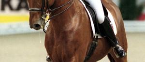 Dressur Nicole Uphoff