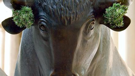293089_0_82a365c1.jpg