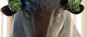 293089_0_82a365c1.jpg