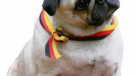 292628_0_76d34fbb.jpg