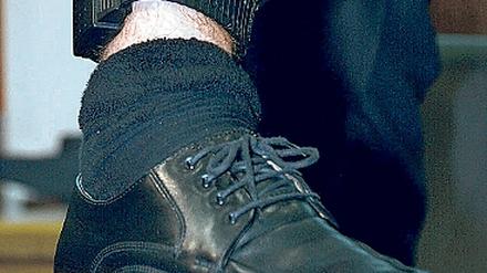 291362_0_1721f7ab.jpg