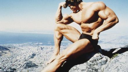 Schwarzenegger