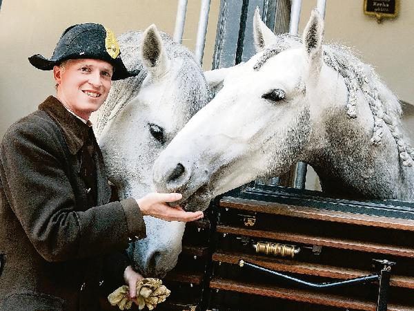 Lipizzaner