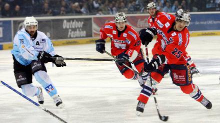 Hamburg Freezers - Eisbären Berlin