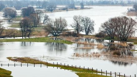 Hochwasser an der Oder nach Schneeschmelze
