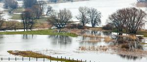 Hochwasser an der Oder nach Schneeschmelze