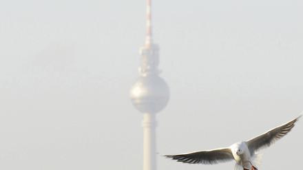Fernsehturm Möwe