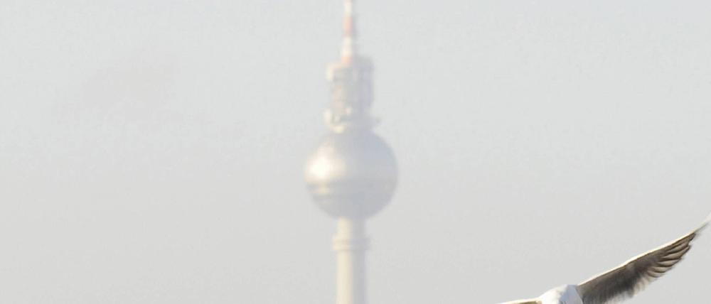 Fernsehturm Möwe