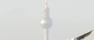 Fernsehturm Möwe