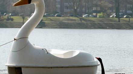 Schwan Petra