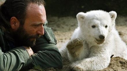 knut