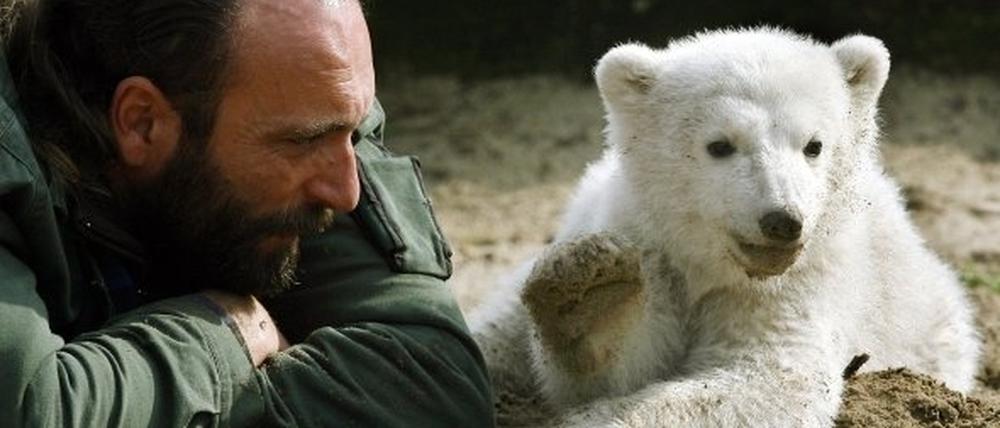 knut