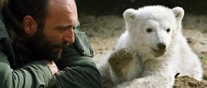 knut