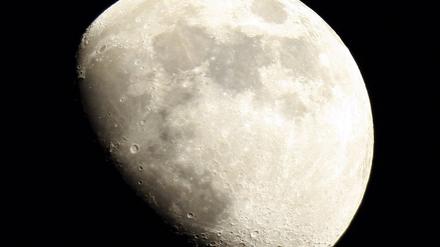 Mond