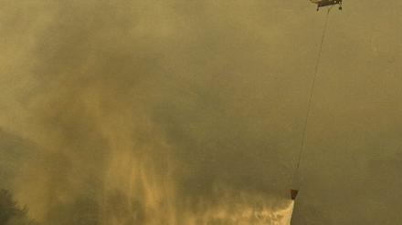 Waldbrand Kalifornien