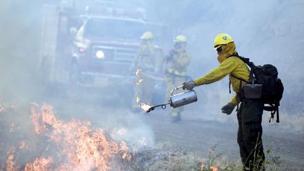 Kalifornien, Feuerwehr