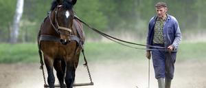Kartoffelacker Subventionen