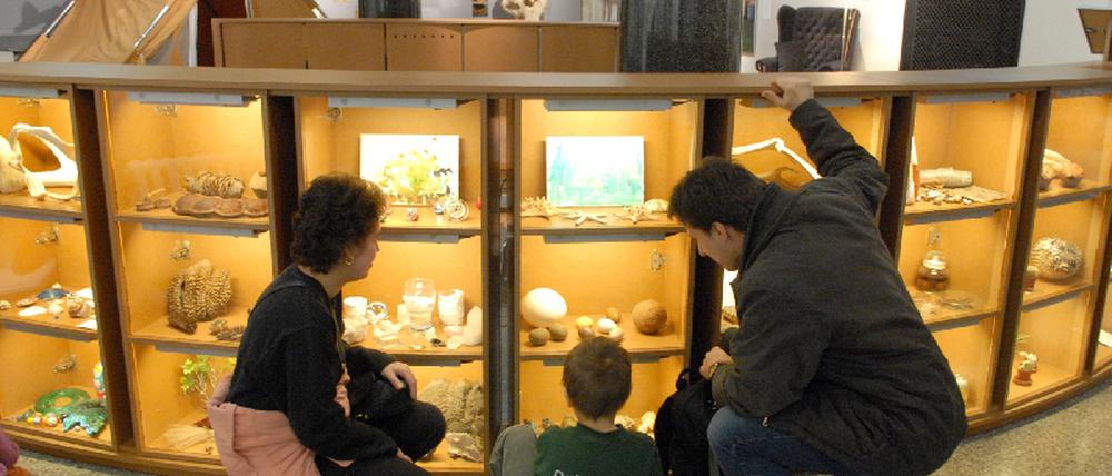 Vitrine