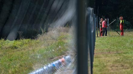 Mitarbeiter des Landesbetriebes Forst Brandenburg errichten nahe dem deutsch-polnischen Grenzfluss Neiße einen festen Zaun gegen die Schweinepest. 