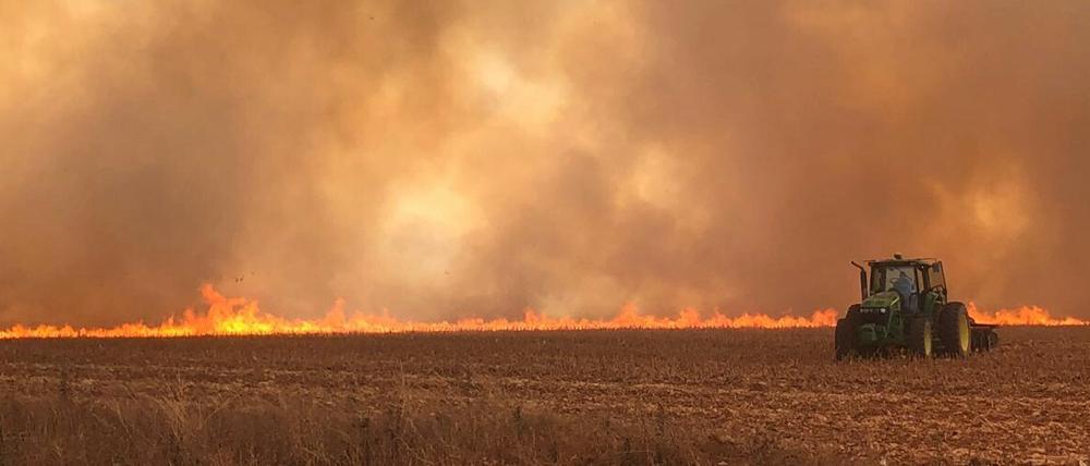 In Brasilien wüten die schwersten Waldbrände seit Jahren.