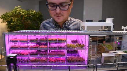Seit 2017 arbeitet Raumfahrtingenieur Paul Zabel am Deutschen Zentrum für Luft- und Raumfahrt am Projekt "Eden-ISS", einem Gewächshaus fürs All (hier ein Modell), das sein Team in der Antarktis bereits erfolgreich getestet hat. ür zukünftige bemannte Missionen zu Mond und Mars. 
