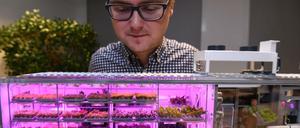 Seit 2017 arbeitet Raumfahrtingenieur Paul Zabel am Deutschen Zentrum für Luft- und Raumfahrt am Projekt "Eden-ISS", einem Gewächshaus fürs All (hier ein Modell), das sein Team in der Antarktis bereits erfolgreich getestet hat. ür zukünftige bemannte Missionen zu Mond und Mars. 