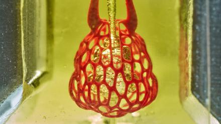 Ein Modell eines lungenähnlichen Luftsacks mit Atemwegen und Blutgefäßen haben Biotechnologen Rice University in Houston, Texas, mit einem neuen 3D-Druck-Verfahren hergestellt. 
