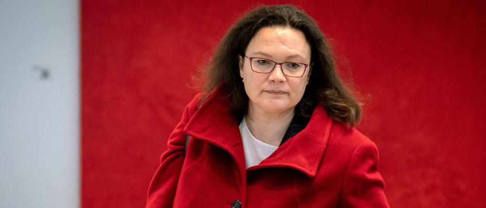 Andrea Nahles, Fraktions- und Parteivorsitzende der SPD.