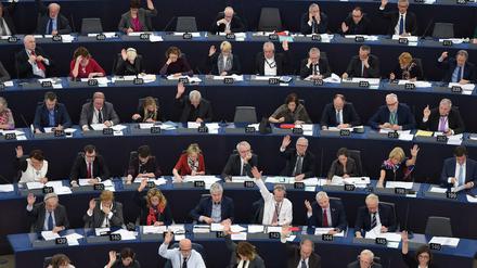 Grüne, Linke und Sozialdemokraten im Europaparlament suchen den Schulterschluss.