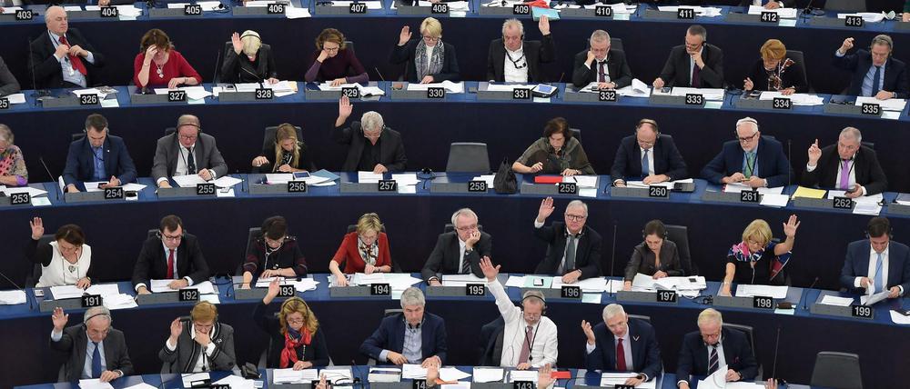 Grüne, Linke und Sozialdemokraten im Europaparlament suchen den Schulterschluss.
