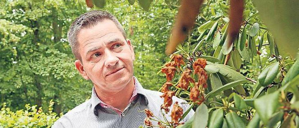 So trocken war es auf dem Südwestkirchhof noch nie, seit Friedhofsleiter Olaf Ihlefeldt seinen Posten vor 29 Jahren antrat. Dieses Jahr drohen viele Pflanzen einzugehen. 