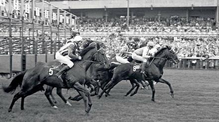 Der sozialistische Gang. Bis 1961 waren auf der Rennbahn Hoppegarten noch westdeutsche Pferde und Besucher zugelassen, danach blieb die DDR bis 1990 unter sich.