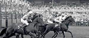 Der sozialistische Gang. Bis 1961 waren auf der Rennbahn Hoppegarten noch westdeutsche Pferde und Besucher zugelassen, danach blieb die DDR bis 1990 unter sich.