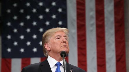 Zufrieden mit sich: US-Präsident Donald Trump 