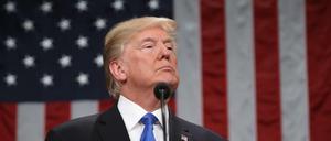 Zufrieden mit sich: US-Präsident Donald Trump 