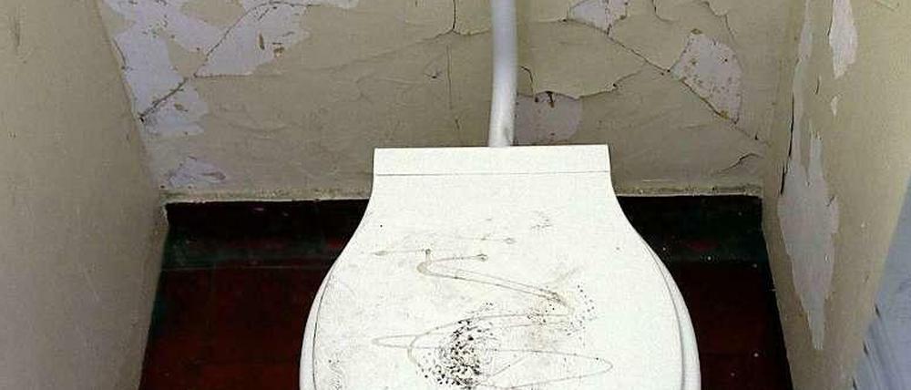 Einen Deckel gibt es, eine Sitzbrille nicht: Die Toiletten in der Grundschule am Weißen See sind nicht in optimalem Zustand. 