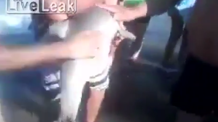 Touristen im Selfie-Eifer haben in Argentinien einen kleinen Delfin sterben lassen.