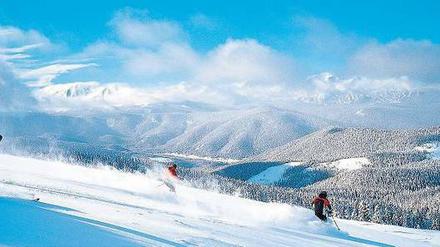 Pulvriges Vergnügen. Die Orte Keystone, Vail, Breckenridge und Beaver Creek gehören zum Skiverbund der Vail Resorts – knapp 4400 Meter Hektar weitläufige Pisten.