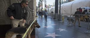 Bereits gestern war die Polizei in Alarmbereitschaft und suchte mit Spürhunden nach Bomben, bei der Premiere des neuen Star Wars Films am Hollywood Boulevard in L.A.