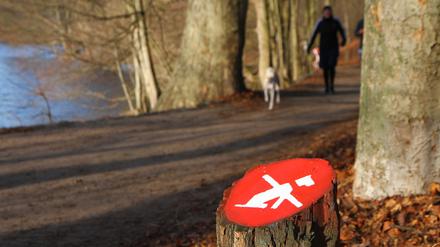 Jetzt läuft es wieder am Schlachtensee - für viele ein Ärgernis