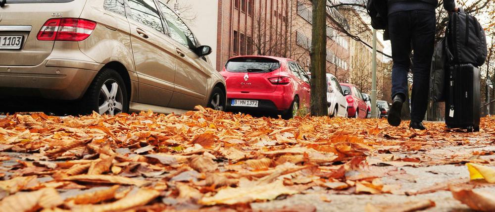 Schön anzusehen, aber nicht ungefährlich: Herbstlaub auf den Straßen Berlins.