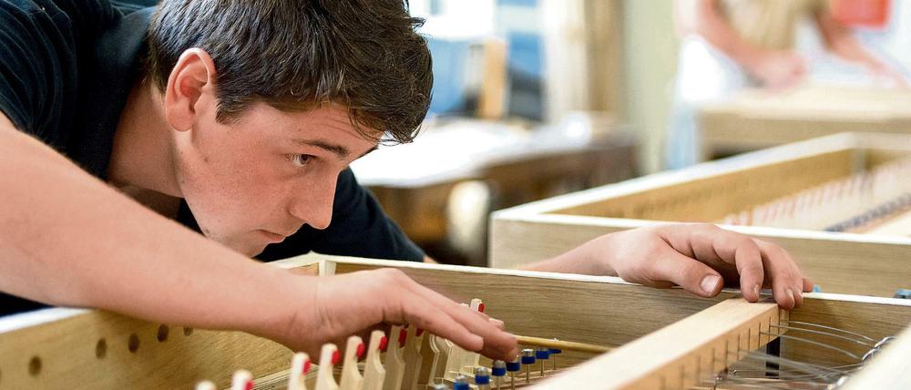 Orgelbau und Management. Im Prinzip kann man in allen Handwerken trial studieren. Man braucht nur einen Ausbildungsplatz - und einen Arbeitgeber, der das Modell unterstützt.
