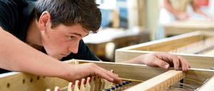 Orgelbau und Management. Im Prinzip kann man in allen Handwerken trial studieren. Man braucht nur einen Ausbildungsplatz - und einen Arbeitgeber, der das Modell unterstützt.