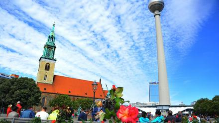Umgestalten, aber wie? Für das Areal rund um die Marienkirche werden städtebauliche Lösungen gesucht. 
