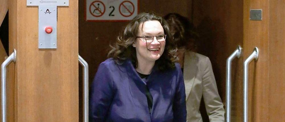 Arbeitsministerin Andrea Nahles (SPD)